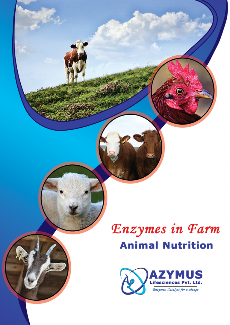 Animal Nutrition – Azymus